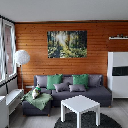 Schwarzwald Pur Apartment Засбахвалден Екстериор снимка