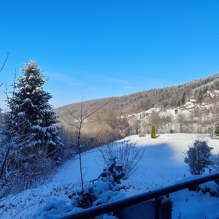 Schwarzwald Pur Apartment Засбахвалден Екстериор снимка