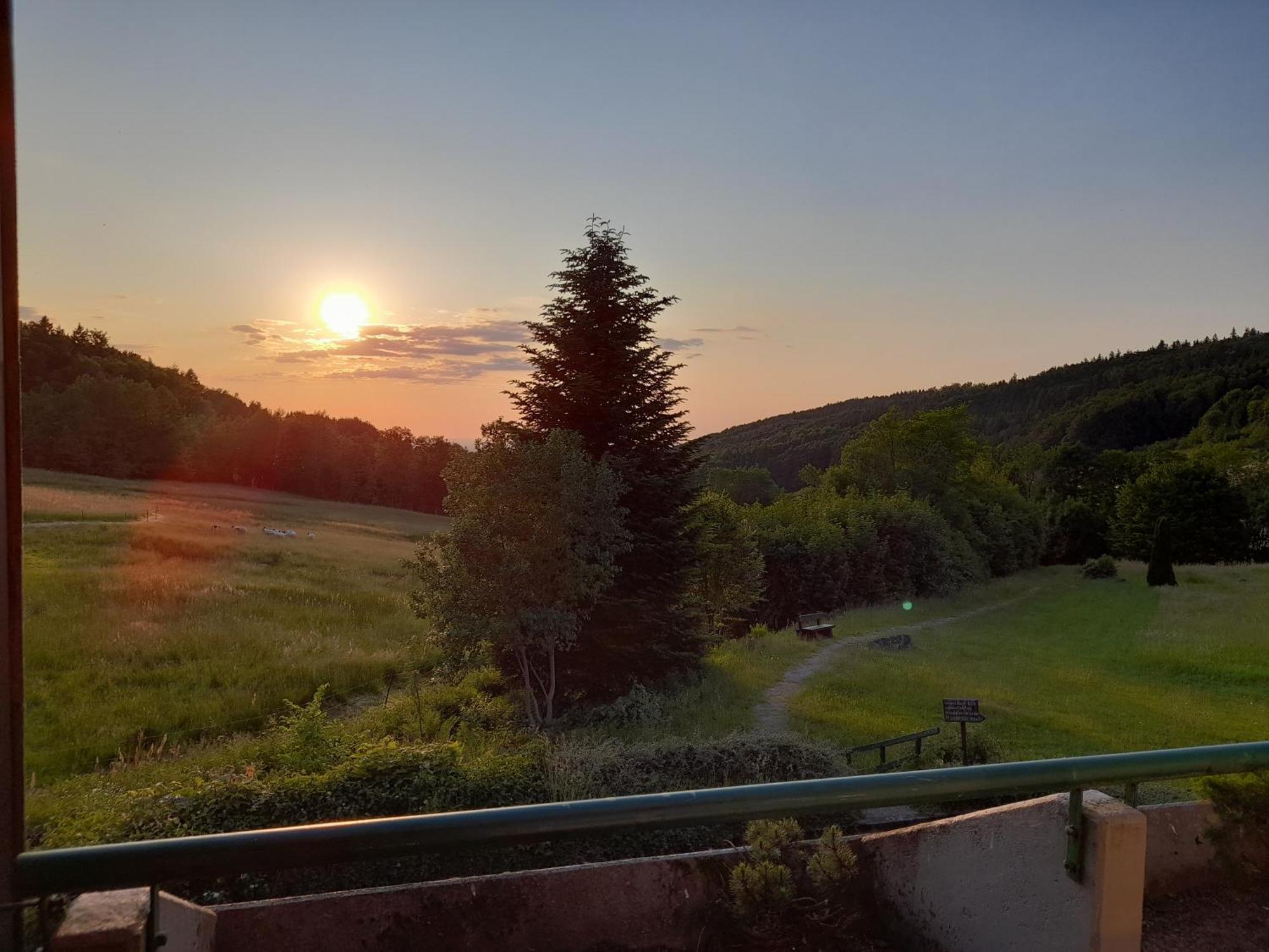 Schwarzwald Pur Apartment Засбахвалден Екстериор снимка