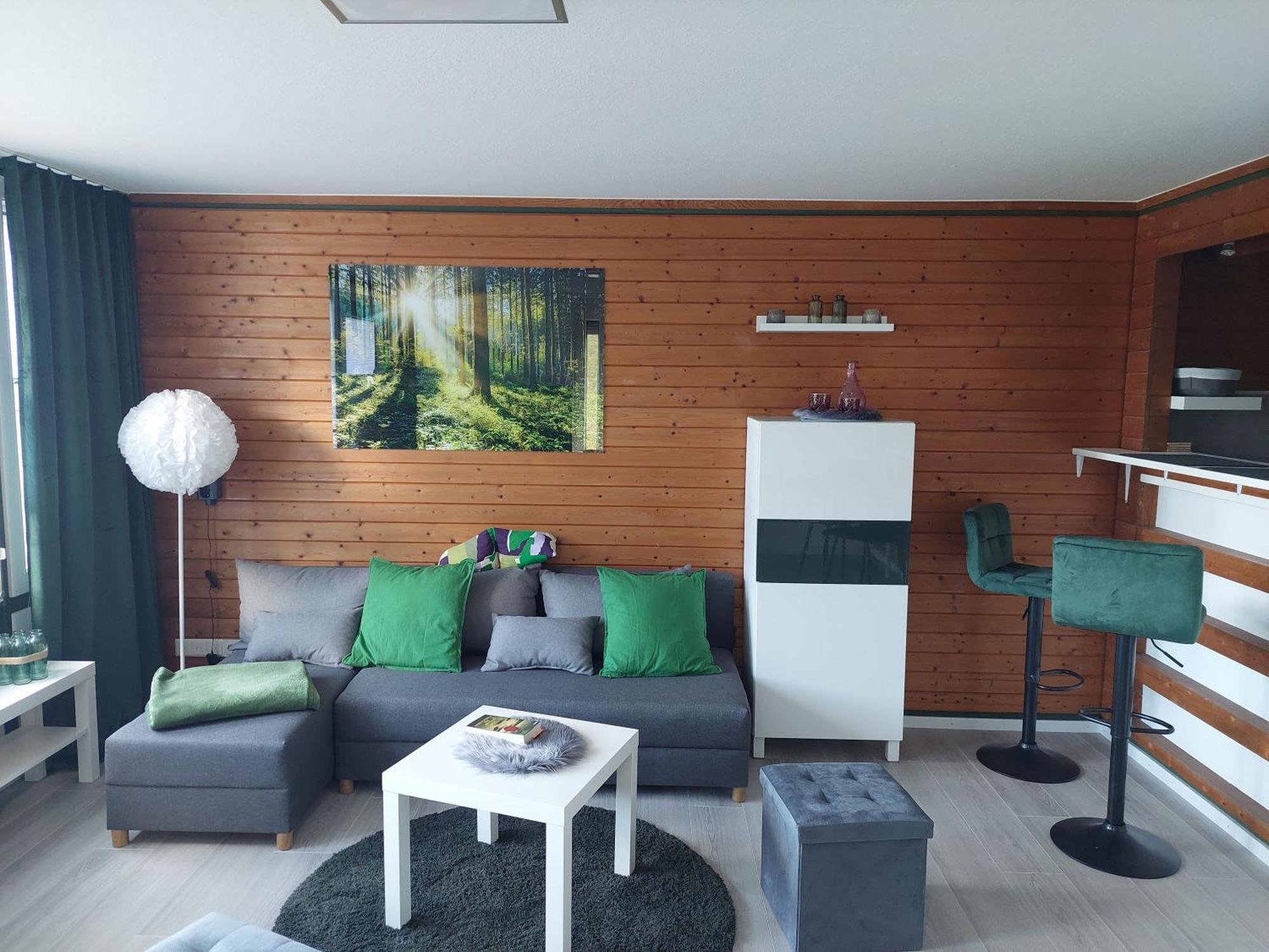 Schwarzwald Pur Apartment Засбахвалден Екстериор снимка