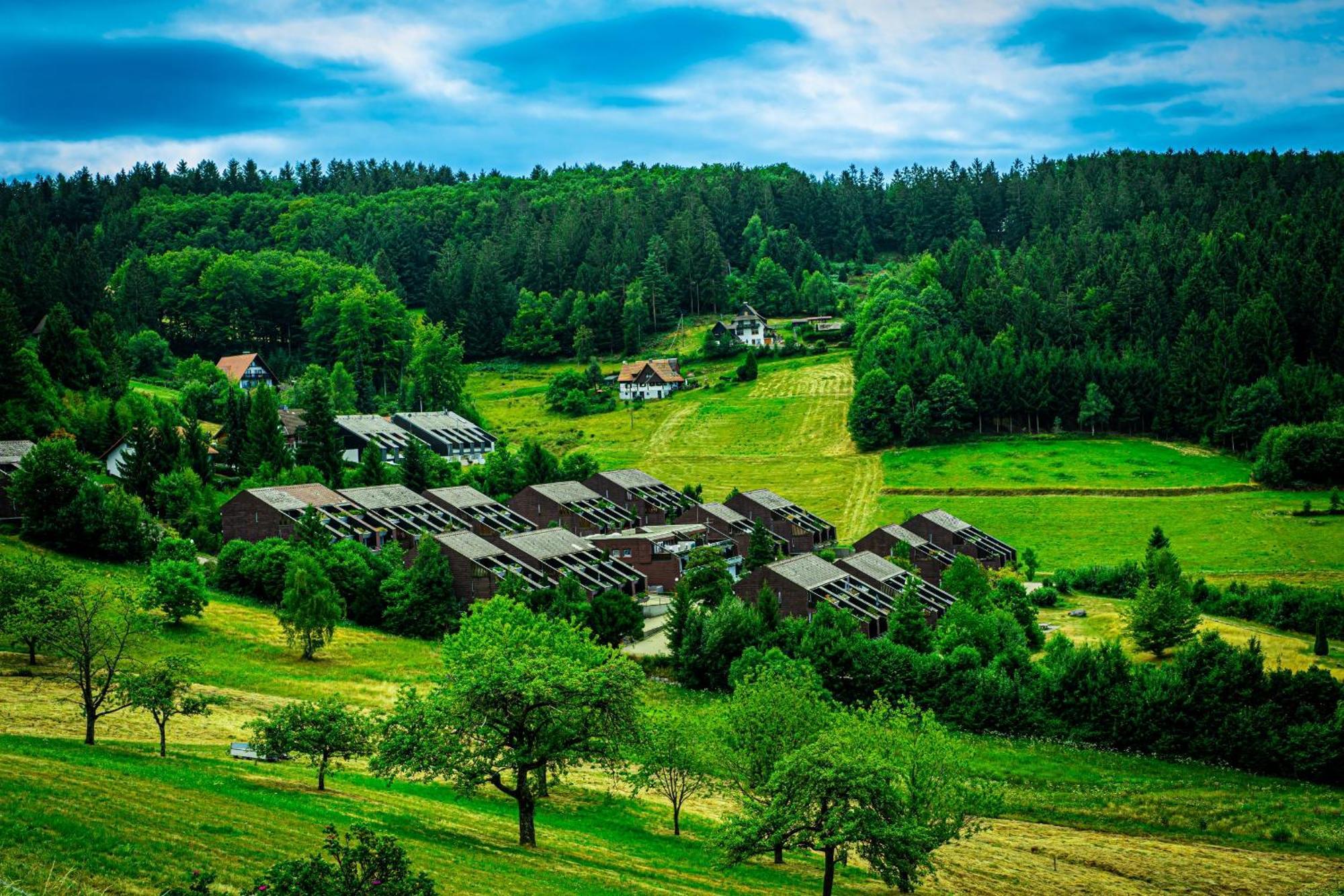 Schwarzwald Pur Apartment Засбахвалден Екстериор снимка
