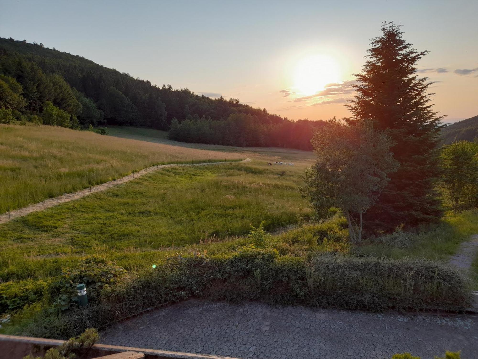 Schwarzwald Pur Apartment Засбахвалден Екстериор снимка